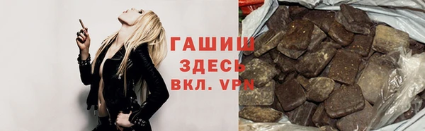 спиды Гусев