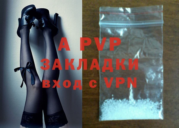ГАЛЛЮЦИНОГЕННЫЕ ГРИБЫ Губаха