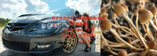 скорость Грязовец