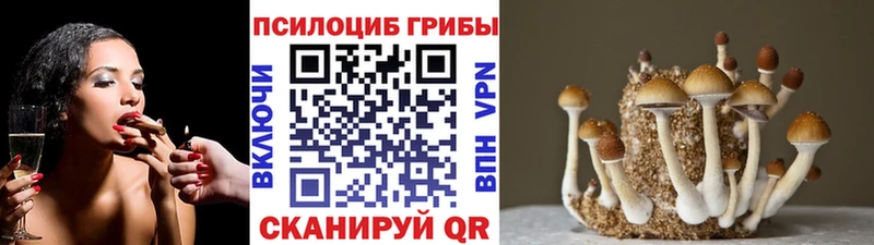 купить сайты Западная Двина Псилоцибиновые грибы мухоморы